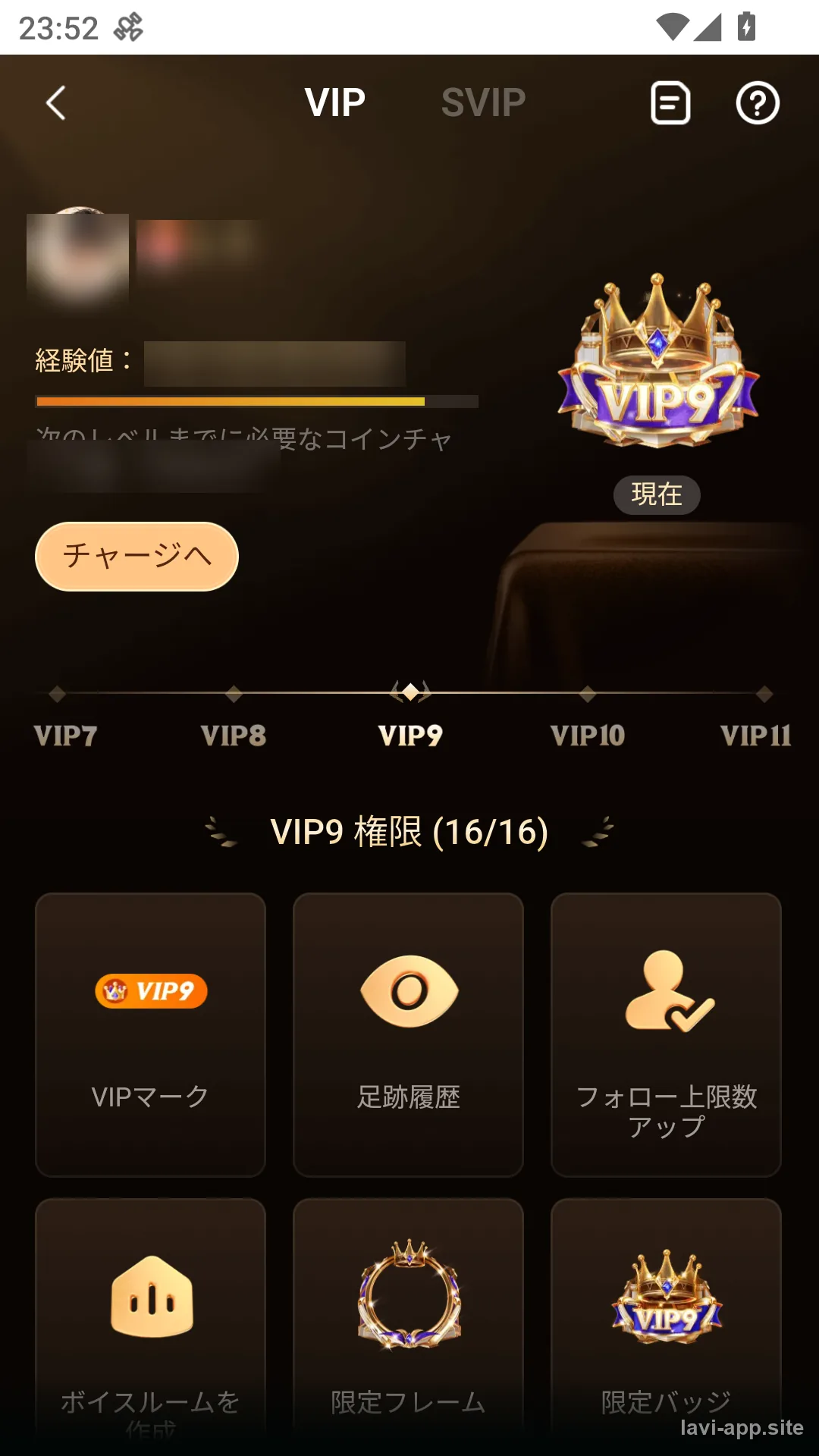 マイページから開けるVIP/SVIPセンター。会員ランクや特典をここで確認できます